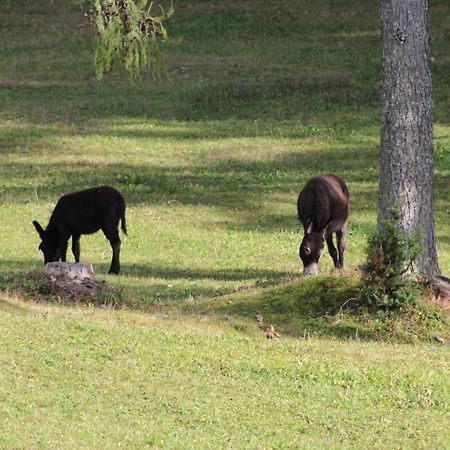 Planinska Hisica Pod Macesni - Bohinj Villa Srednja Vas v Bohinju Kültér fotó